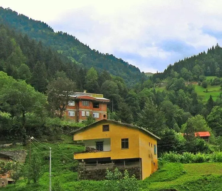 img-Masal